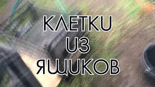 Клетки для перепел из пластиковых ящиков  | Дневник Птицевода №9 | Арболитич