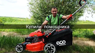 Купили помощника! Газонокосилка Eco lg-734