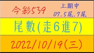 今彩539 『尾數(走6進7)』上期中07.5尾.7尾【2022年10月19日(三)】肉包先生