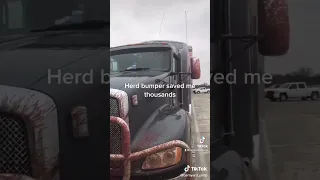 Deer Hit AFTERMATH | Truck Survives after Deer Explodes from HERD Grille Guard