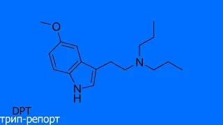 DPT трип-репорт