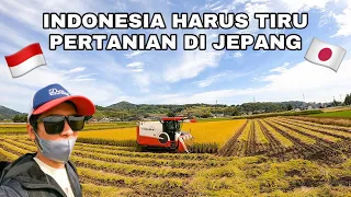 PANEN PADI DI JEPANG DENGAN TEKNOLOGI MODERN || INDONESIA HARUS TIRU