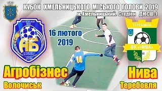 16.02.2019. Агробізнес (Волочиськ) - Нива (Теребовля) - 1:0. Огляд матчу