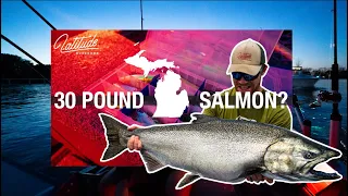 GIANT Michigan King Salmon