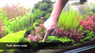 Tom Barr Explains Planted Tank Maintenance