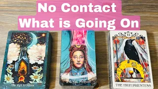👀💕Whats Happening with Them??  Pick A Card Detailed no contact/minimal contact Love Tarot Reading
