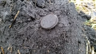 Залипуха на копе.Minelab Safari.Коп 2015