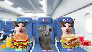 Cat Family Road Trip Episode 3 | Cat Meme | Funny Family Travel video