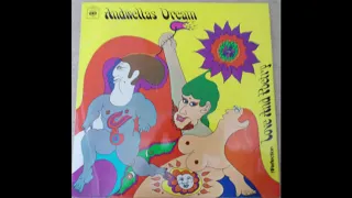 Andwellas Dream –The Days Drew Longer For Love     -    UK Psych rock