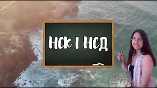 НСК і НСД (6 клас, математика)