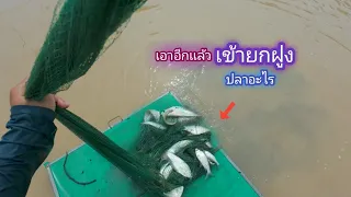 บัตร 60 บาท เอาอีกเเล้ว เข้าทั้งฝูงเลย เยอะจริงปลาชนิดนี้ / บ้านนอก EP.749