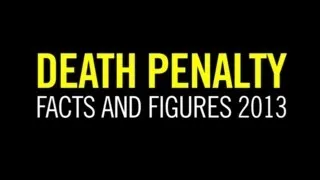 The Death Penalty in 2013