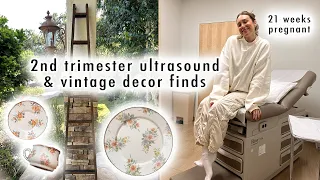 our 2nd trimester ultrasound + vintage decor finds (FB Marketplace & thrift shopping)