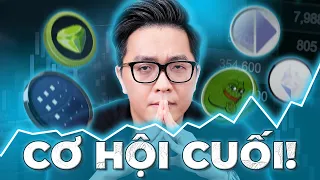 Top 5 Dự Án Tiềm Năng “PUMP MẠNH” Sau BITCOIN Halving… Có Đáng Để Đầu Tư?? - mInvest