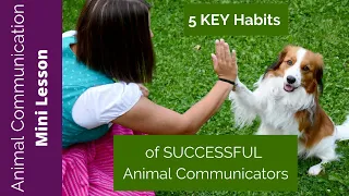 The 5 KEY HABITS of Successful Animal Communicators - Animal Communication Training