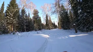 День 301. Потеплело, -31 градус. Дистанция 12 километров.