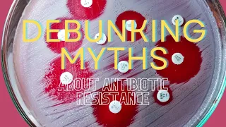 Busting Myths: Antibiotic Resistance Explained