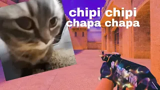 chipi chipi chapa chapa🤩 мувик по стандофф 2