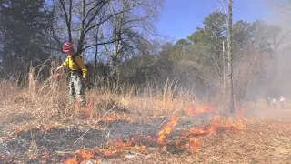 Prescribed Burn at Big Haynes Creek Nature Center Took Advanced Planning