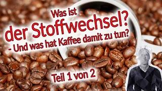 Der Stoffwechsel im Fokus - Teil 1 | Wirkung von Kaffee auf den Stoffwechsel