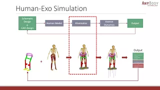 [Webcast] - Simulations as a tool for human-centered exoskeleton design