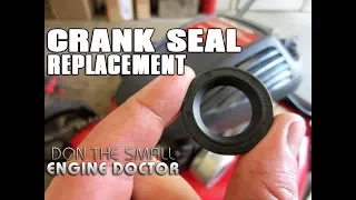 HOW-TO Replace A Lawnmower Crankshaft Seal