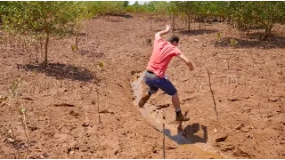 Pieter in Madagascar: How we plant thousands of Mangroves