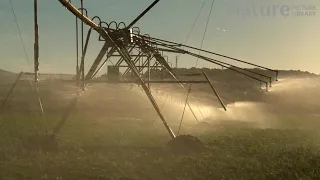 Large scale agricultural irrigation of a vegetable farm, Atherton Tablelands, Queensland, Australia.