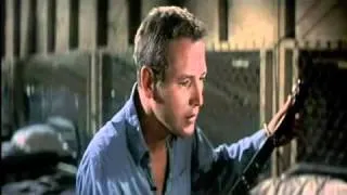 Paul Newman - Cool Hand Luke - Plastic Jesus-1.flv