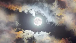 Video 4K#луна#ночь#лунный свет#небо