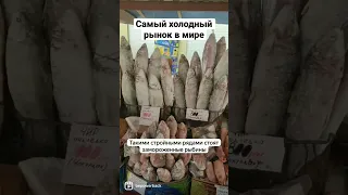 Самый холодный рынок в мире - крестьянский в Якутске