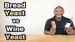 Bread Yeast vs Wine Yeast