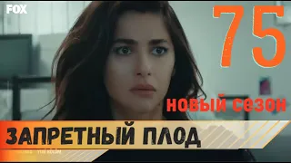 Запретный плод 75 серия русская озвучка (фрагмент №1).  Новый 4 сезон