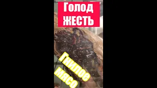 В Америке Голод? Люди платят в разы больше за старое мясо , ЖЕСТЬ как такое может быть?