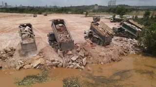 Best Skill Of Komatsu Dozers Team Push Stone To Filling Up Large Water Area With Dump Trucks Operate