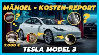 Tesla Model 3 | Probleme, Wartungskosten & Schwachstellen