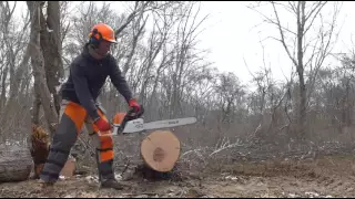 Stihl 362 vs 261 vs 241