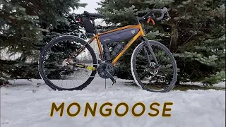 mongoose guide