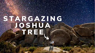 Should You Go To JOSHUA TREE NATIONAL PARK AT NIGHT?  NOT WHAT WE EXPECTED.