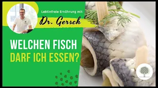 Ist eingelegter Fisch wie Rollmops oder Hering gesund?