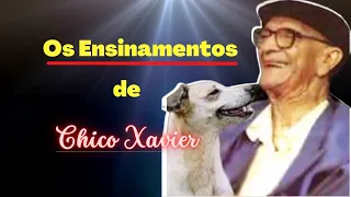 Os Ensinamentos de Chico Xavier