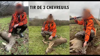 Battues aux chevreuils en Bretagne - Tirs de 3 chevreuils au fusil !