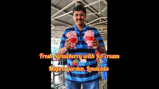 Mapro Garden Lonavala | Fresh Strawberry with Ice-cream 🍓🍨