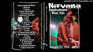 Nirvana - Live In Milan, Italy 25/02/1994 (Full Concert in D Tuning)