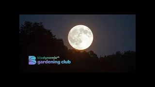 Planting by the Moon Know - How and Tips for January 2023