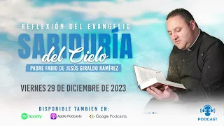 Evangelio del día Viernes 29 de Diciembre 2023 | Padre Fabio Giraldo