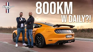 Ford Mustang na sterydach!! Doładowany kompresorem potwór!! Szybszy od SuperCar’ów?!