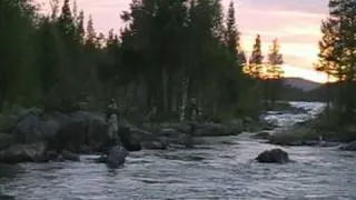 Fly fishing for Grayling in Swedish Lapland