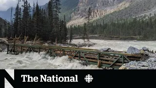 How B.C. Parks is rebuilding a world-famous hiking trail to survive climate change