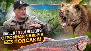 В ЛОГОВО МЕДВЕДЕЙ! КОРОЛЬ ЛОСОСЕЙ- ЧАВЫЧА более 10 кг, без подсака! Такая рыбалка только на КАМЧАТКЕ